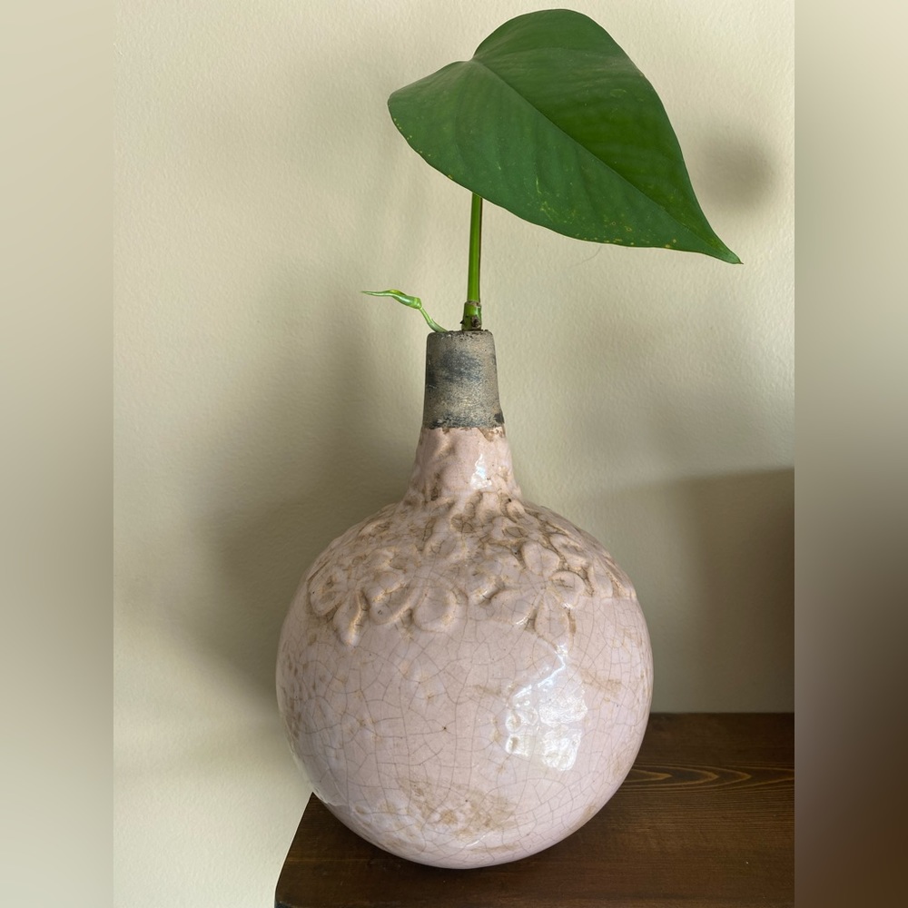 Variegated Pothos planted in recycled lamp base